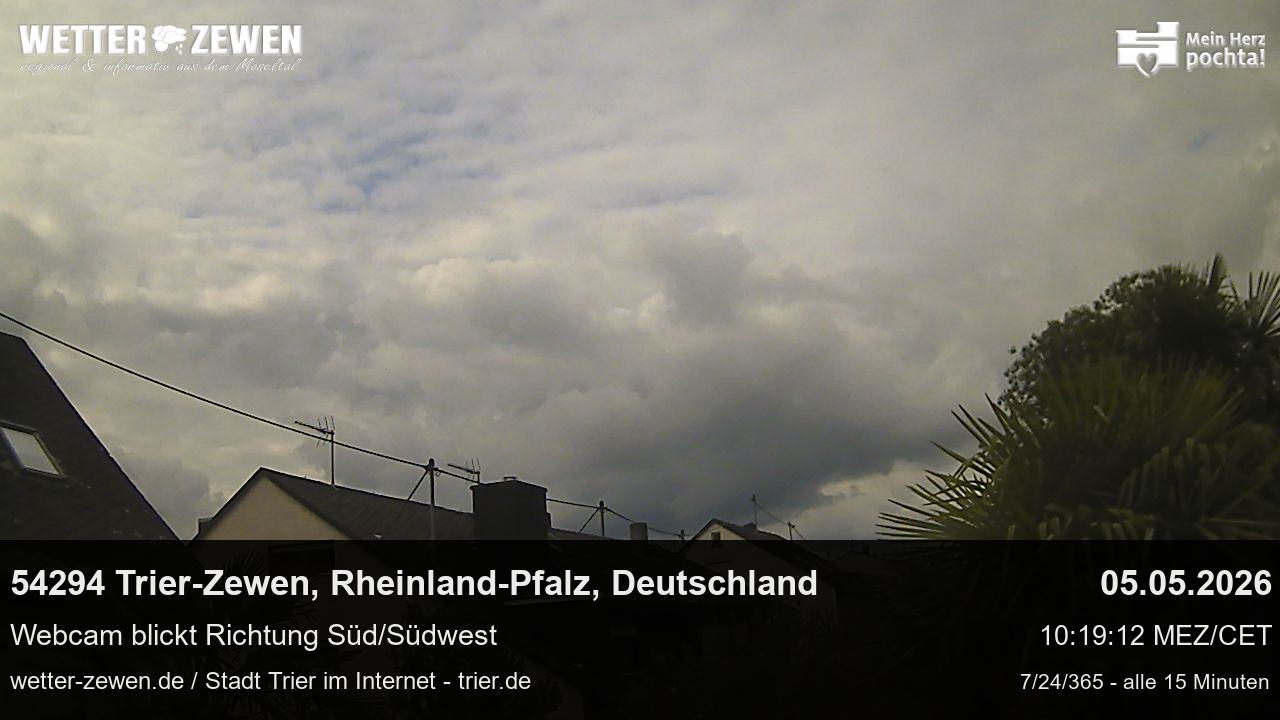 Bild