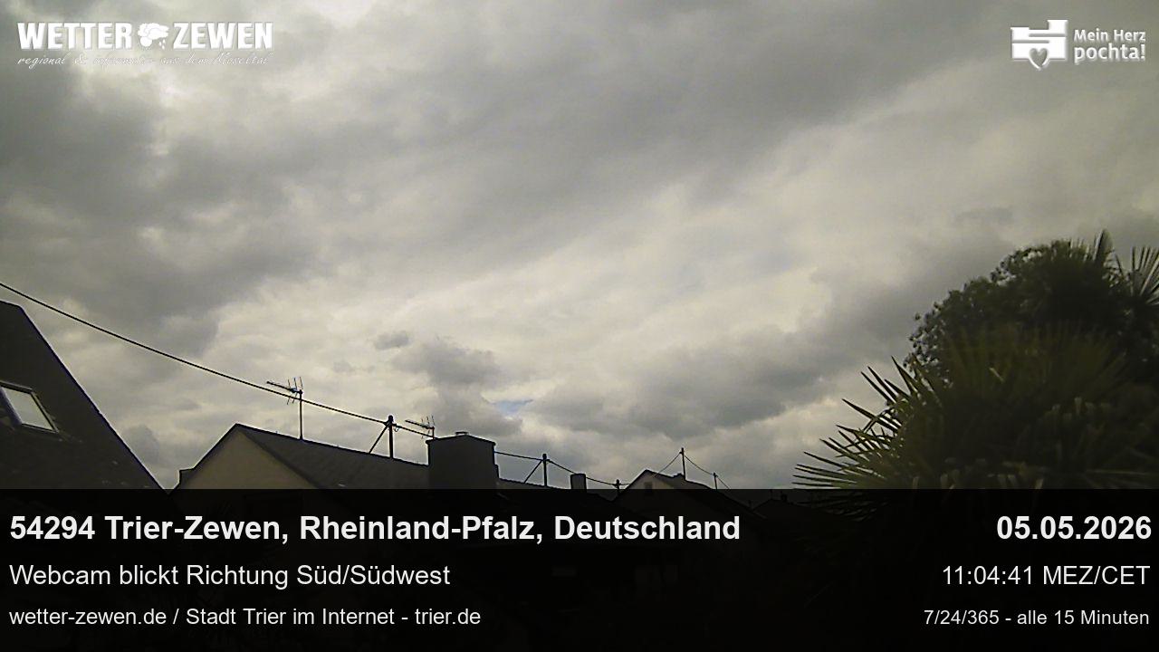 Bild