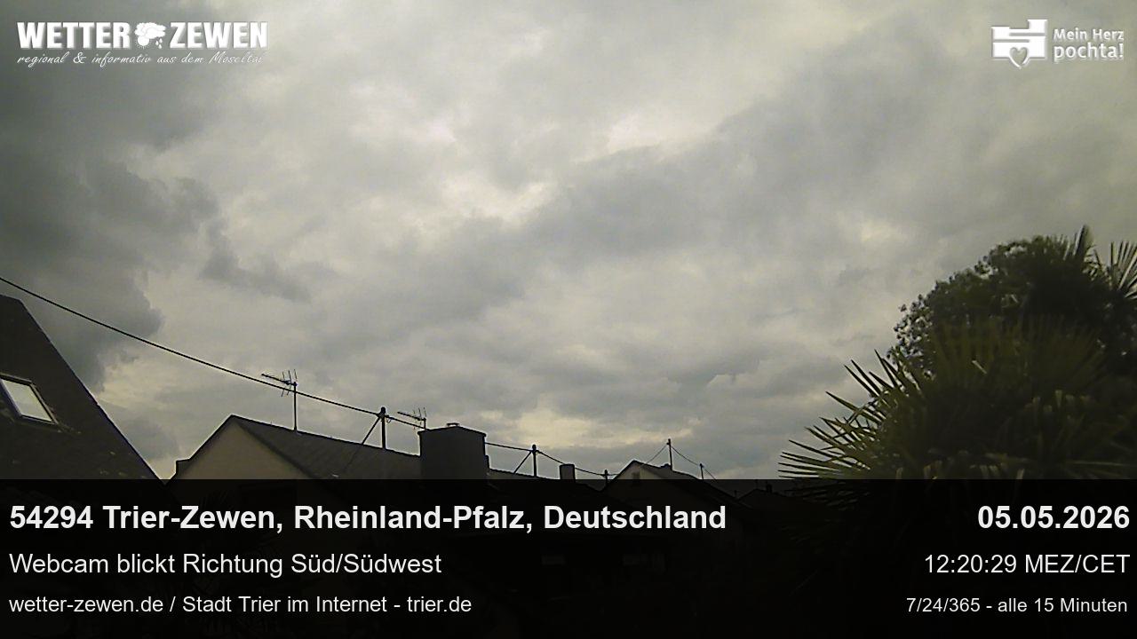 Bild