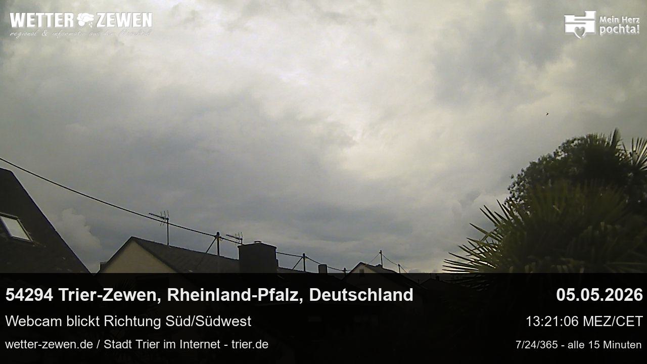 Bild