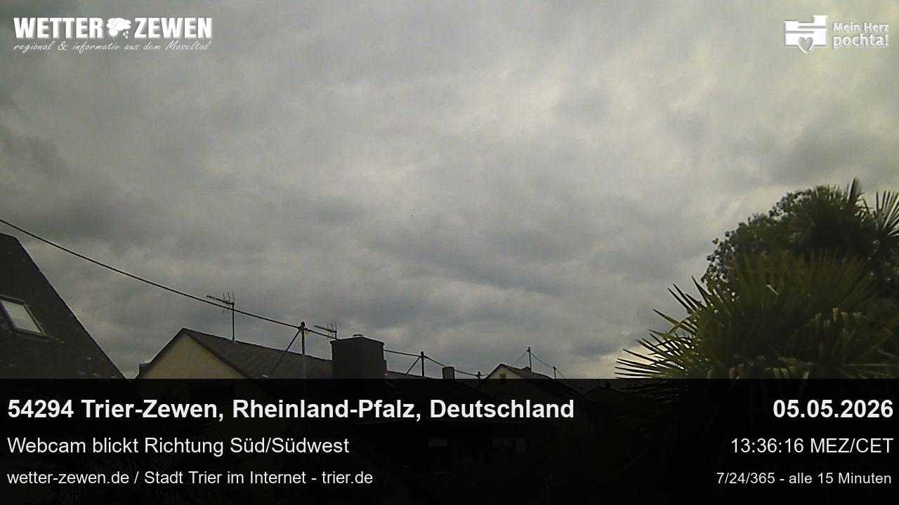 Bild