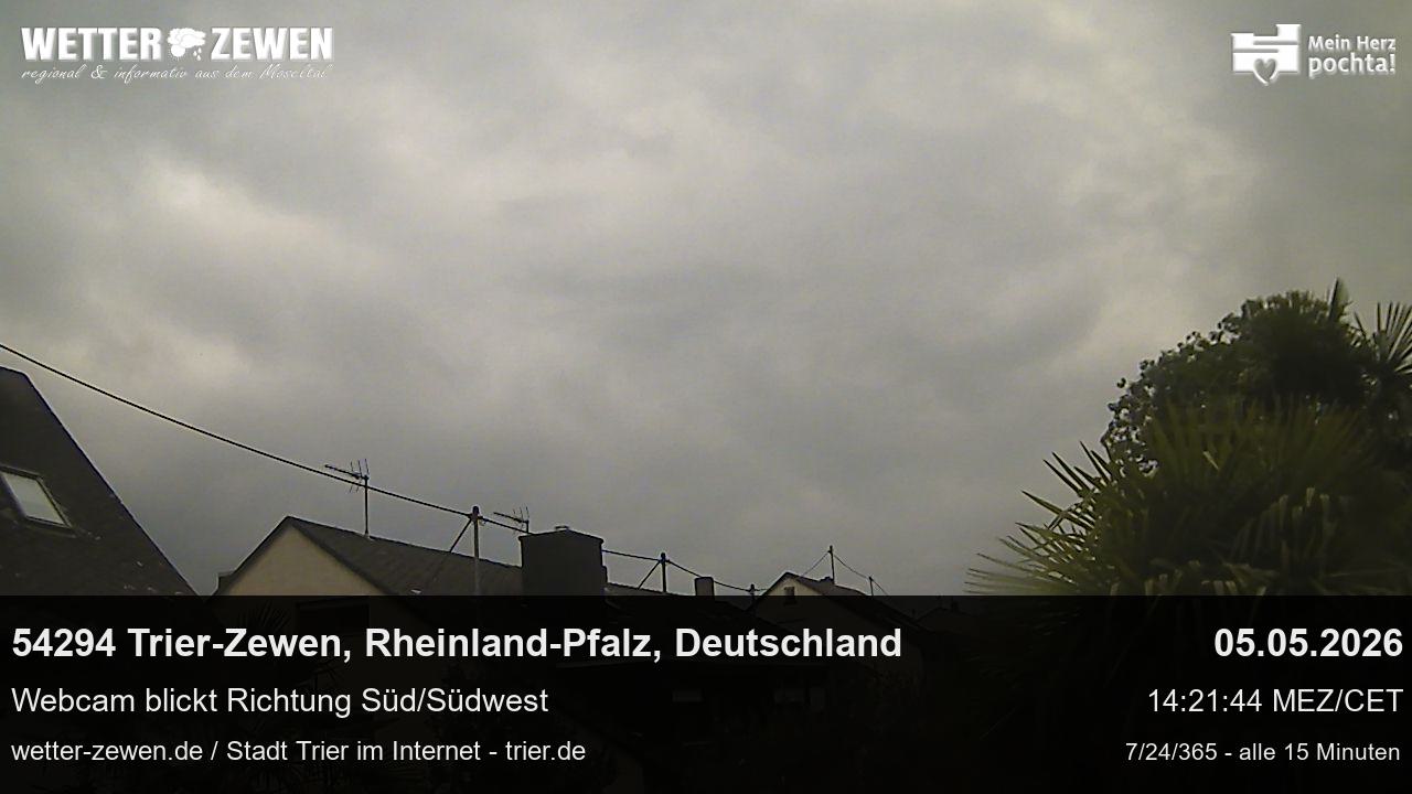 Bild