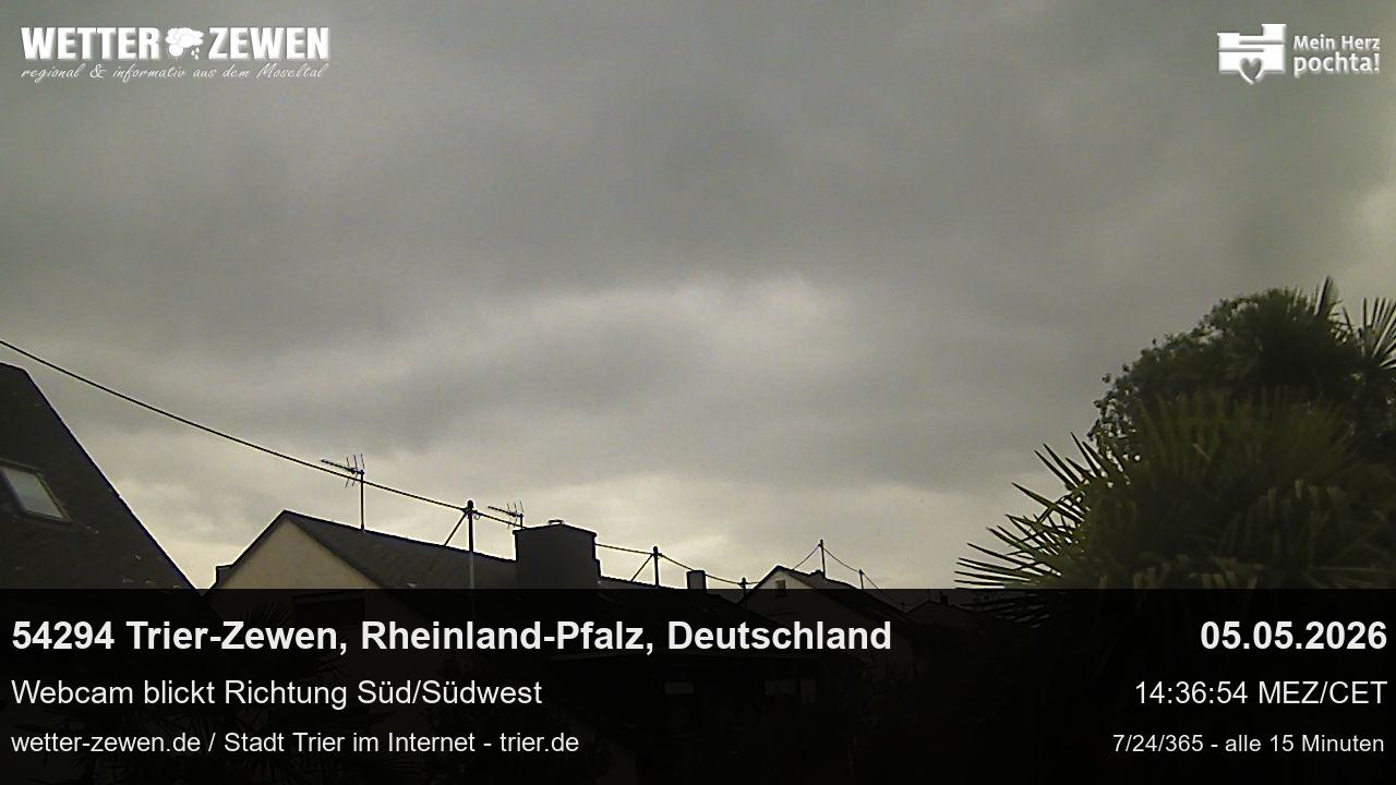 Bild