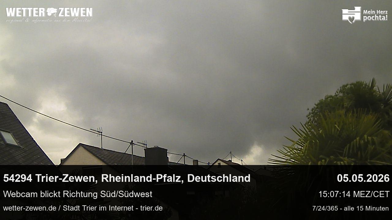 Bild