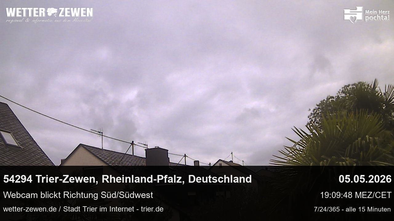 Bild