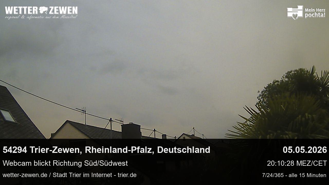 Bild