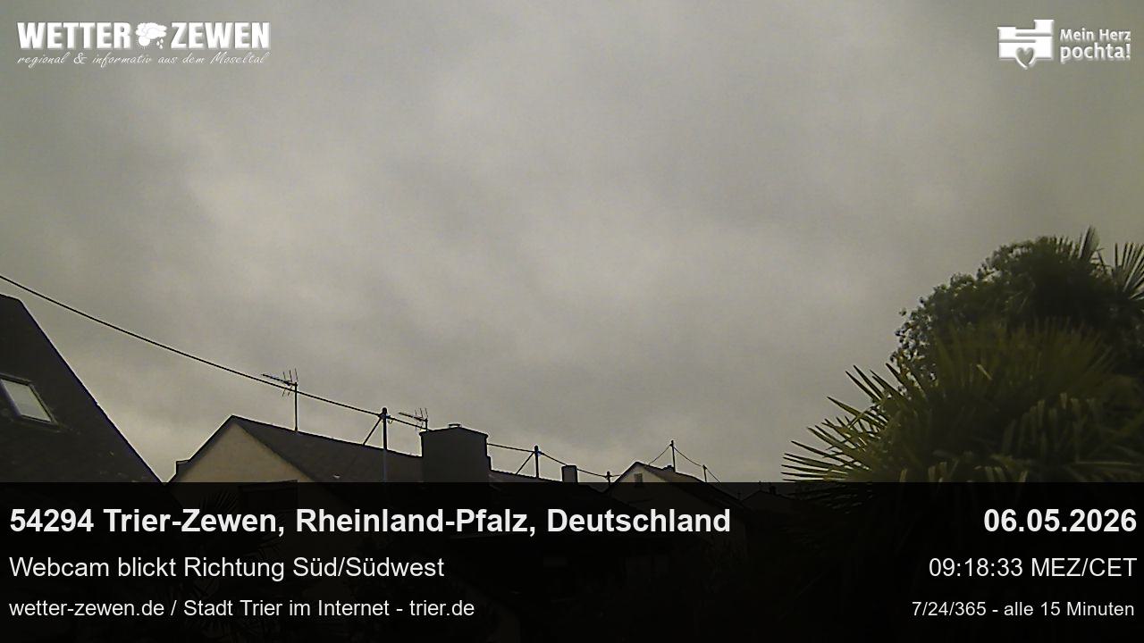 Bild