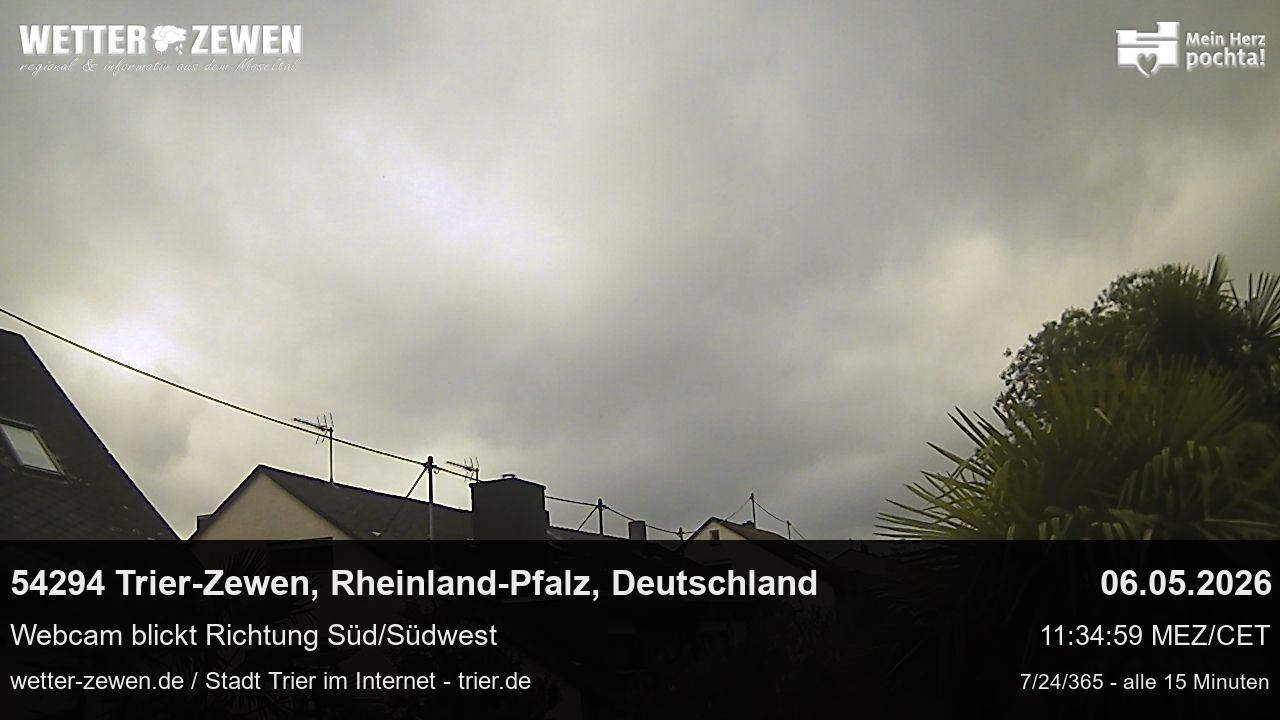 Bild