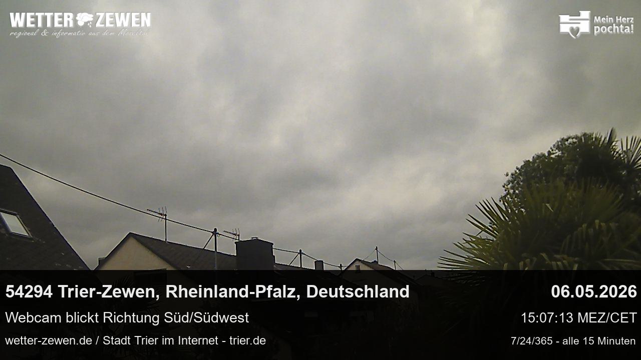 Bild