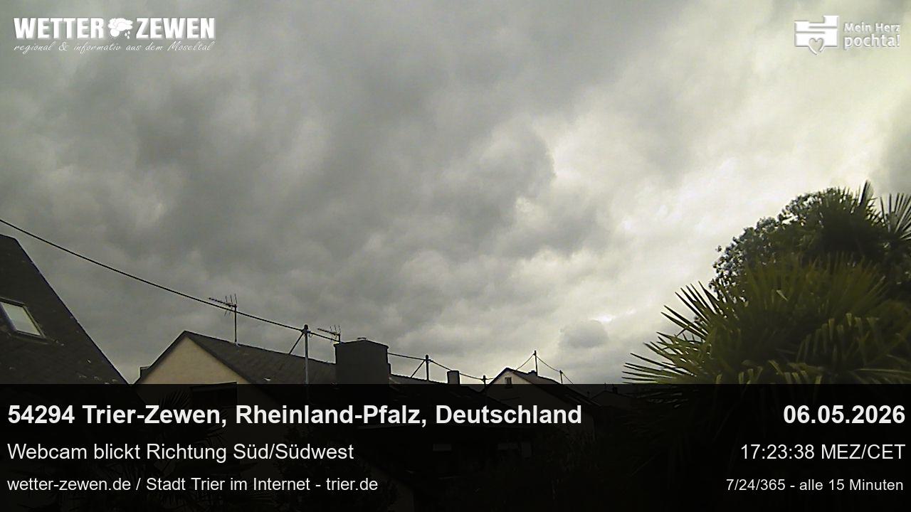 Bild