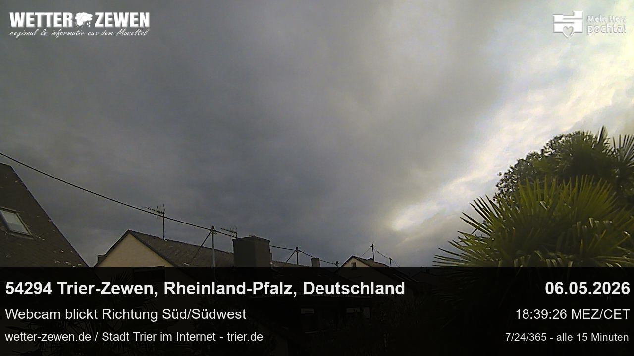 Bild