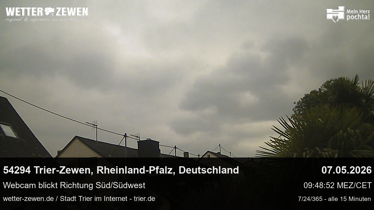 Bild