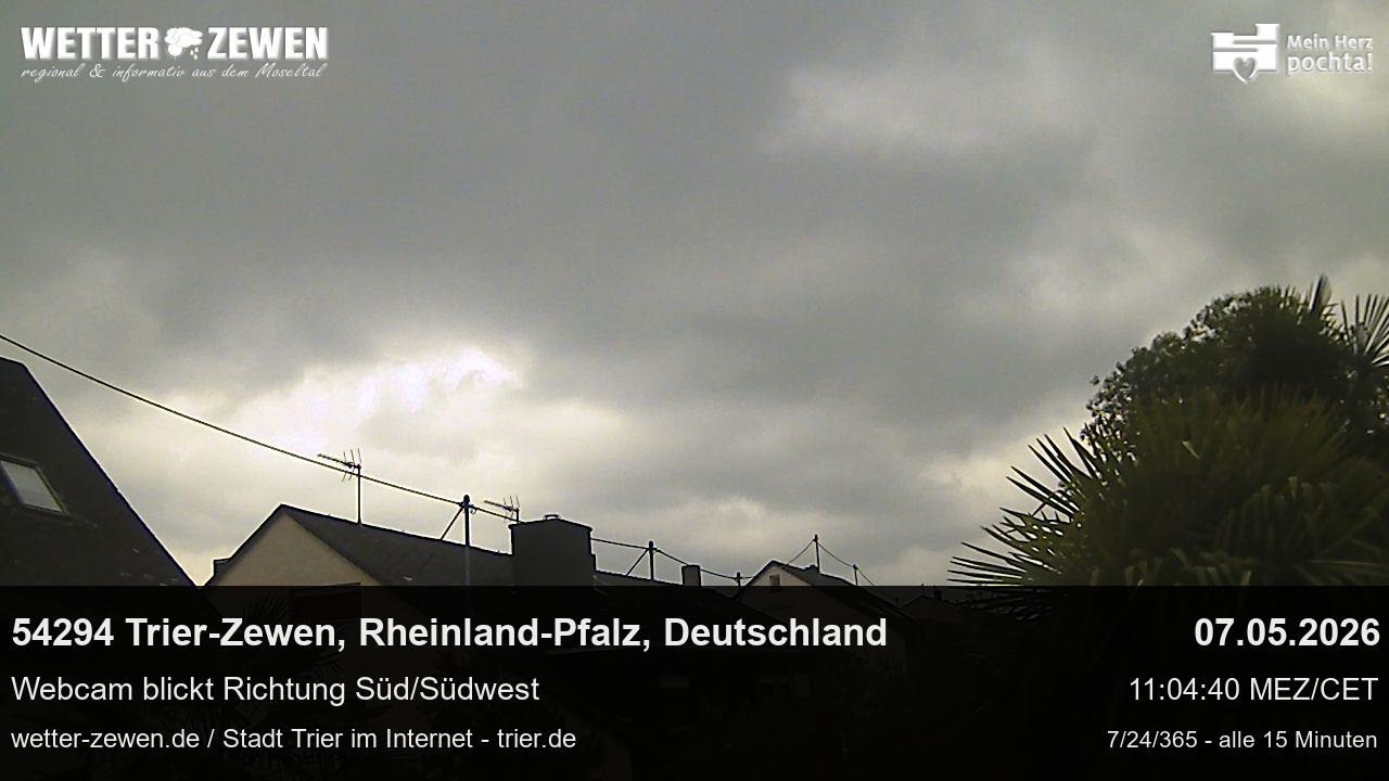 Bild