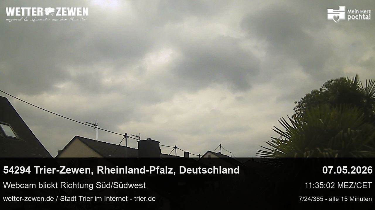 Bild
