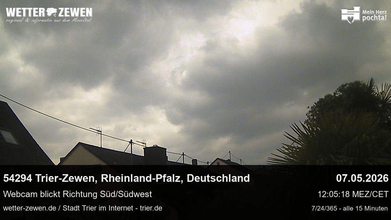 Bild