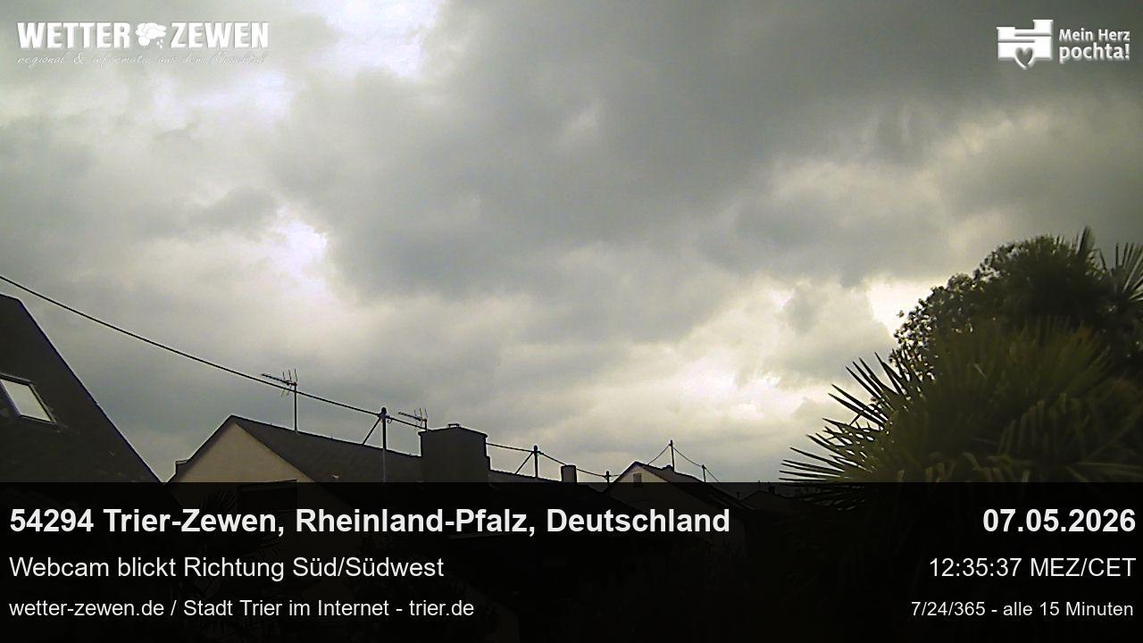 Bild