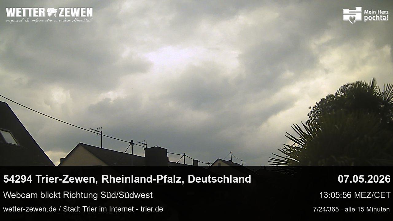 Bild