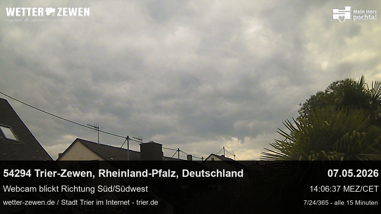 Bild