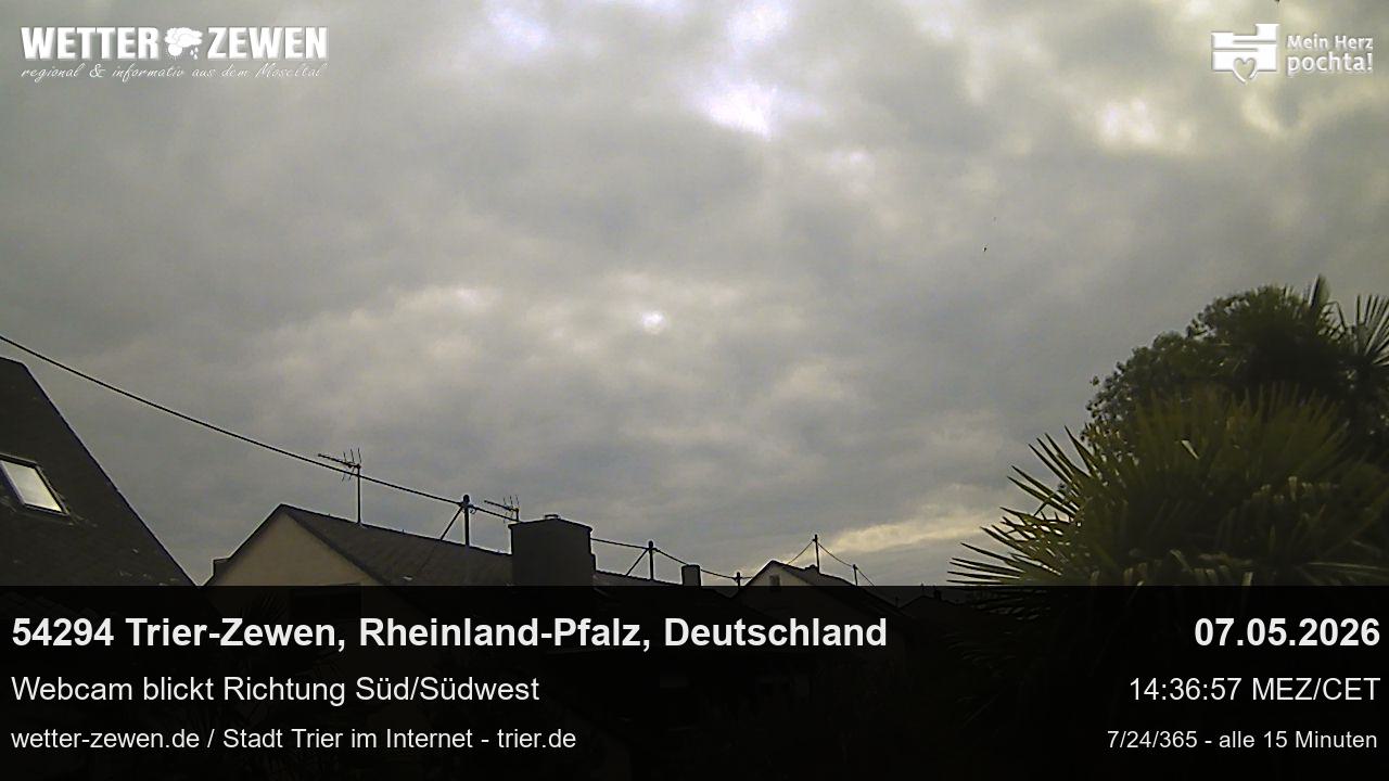 Bild