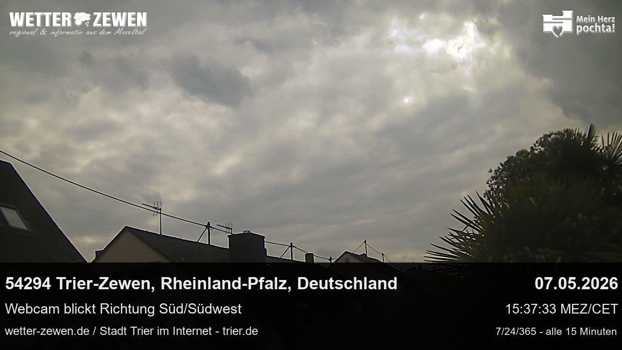 Bild