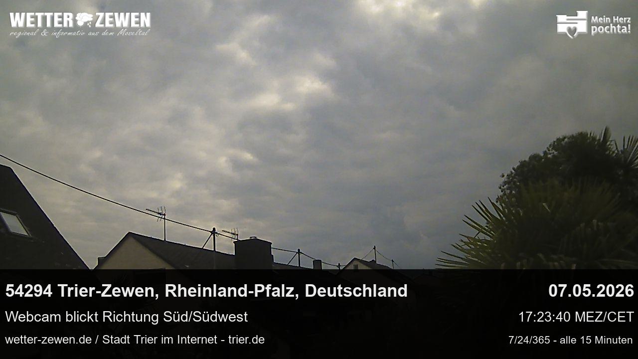 Bild