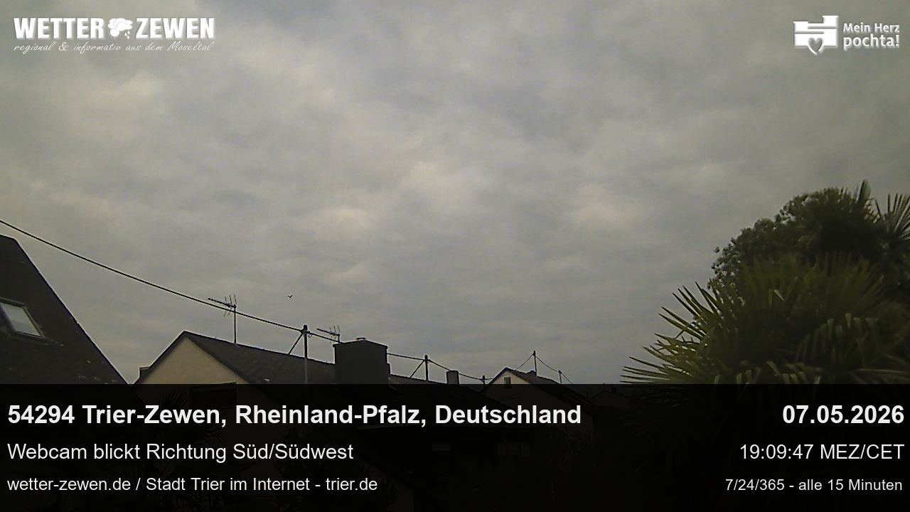 Bild