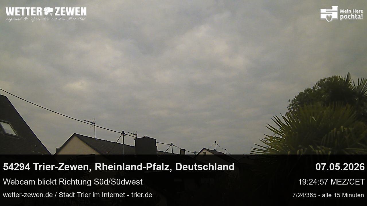 Bild