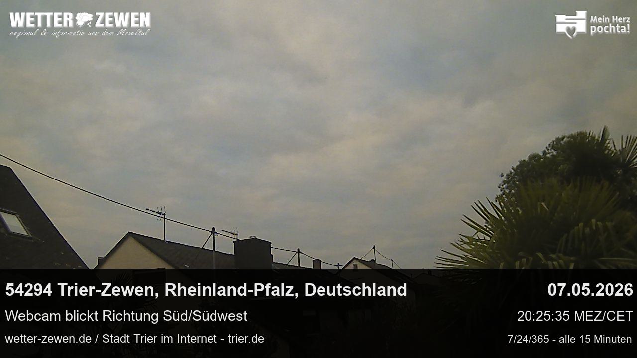 Bild