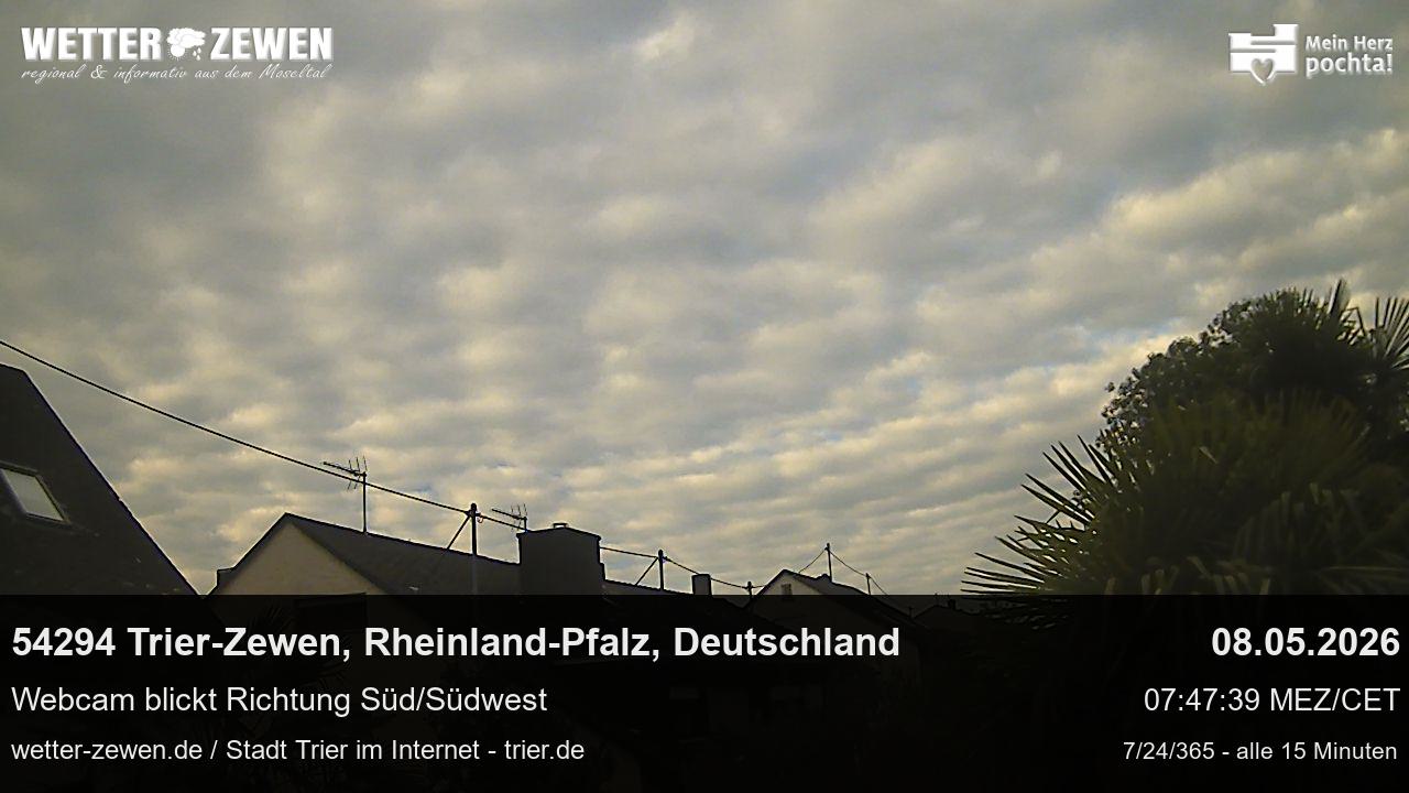 Bild