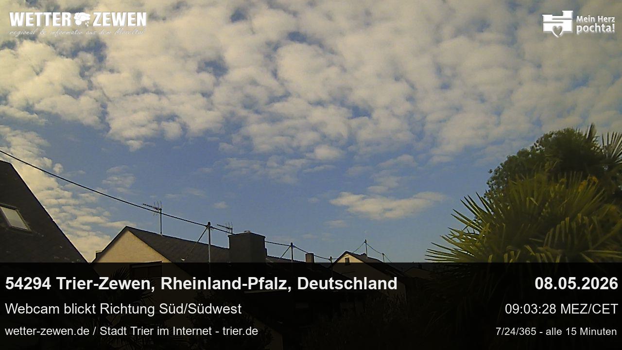 Bild