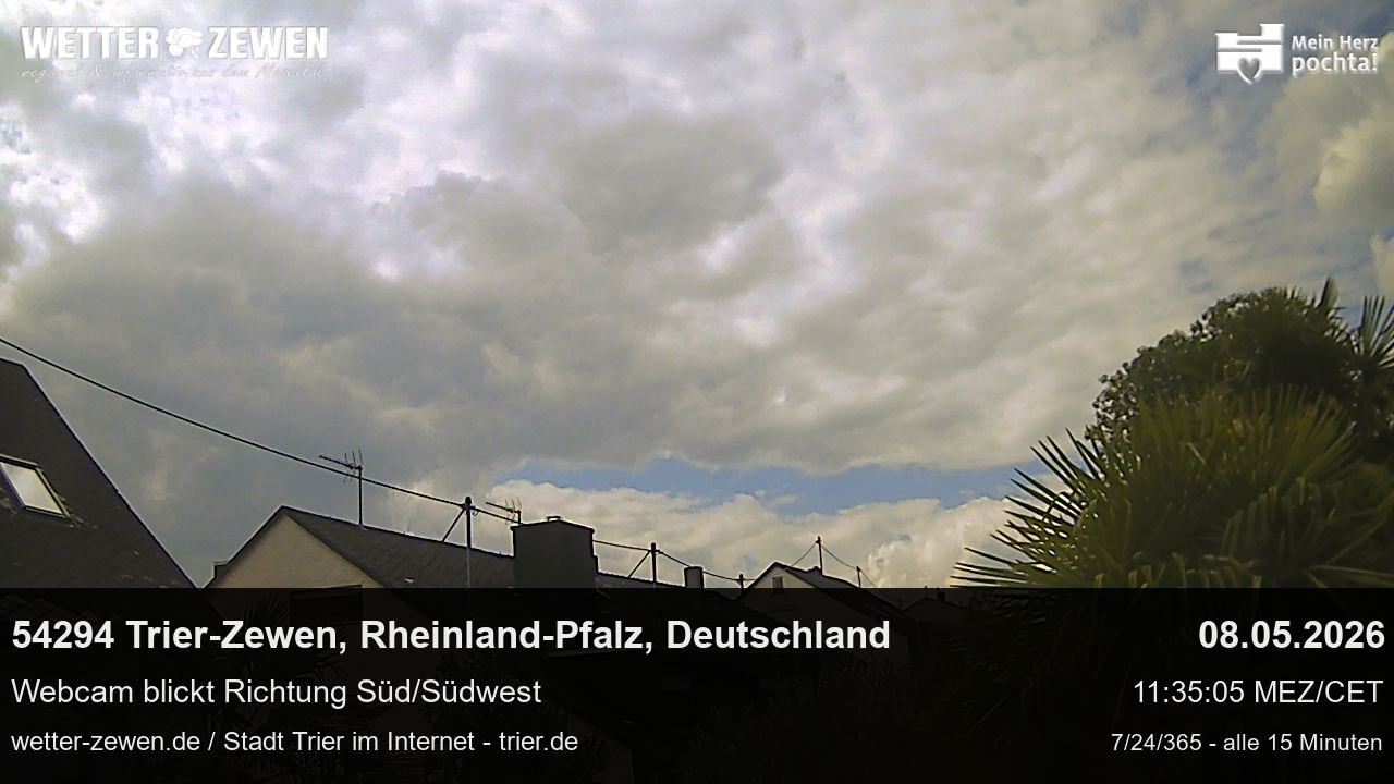 Bild