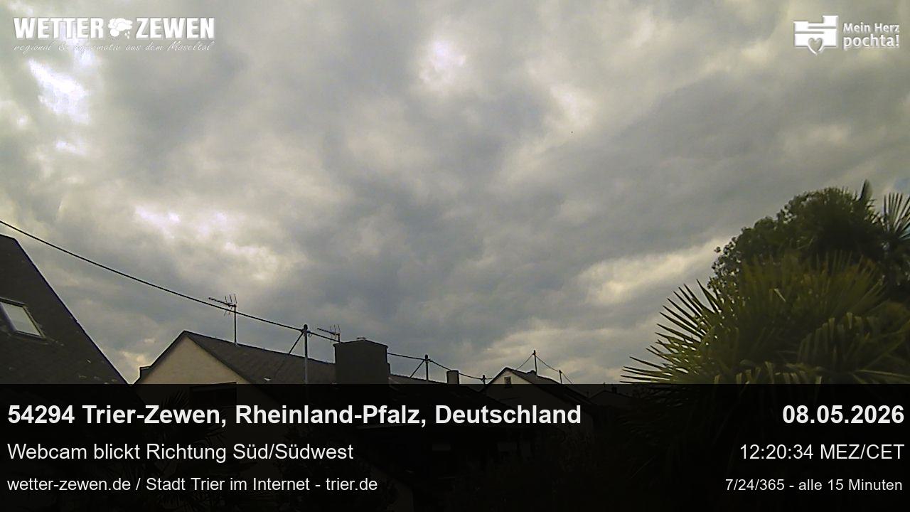 Bild