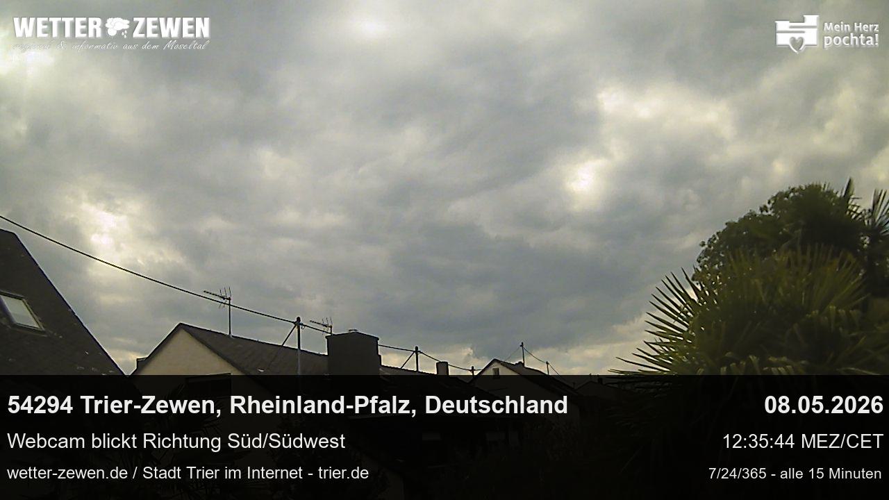 Bild