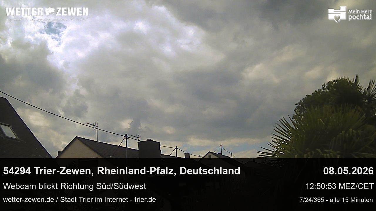Bild