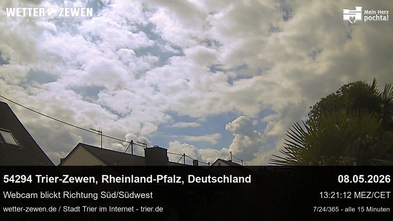 Bild