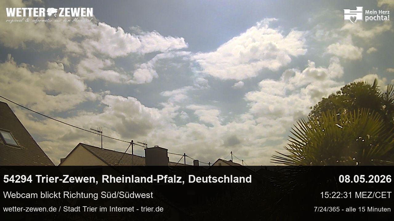 Bild