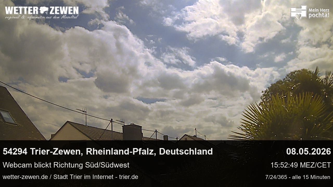 Bild
