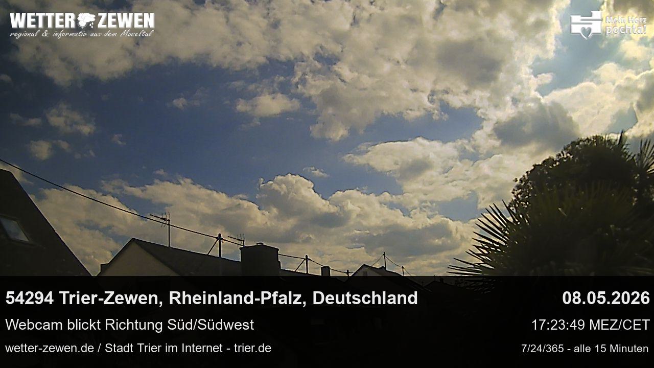 Bild