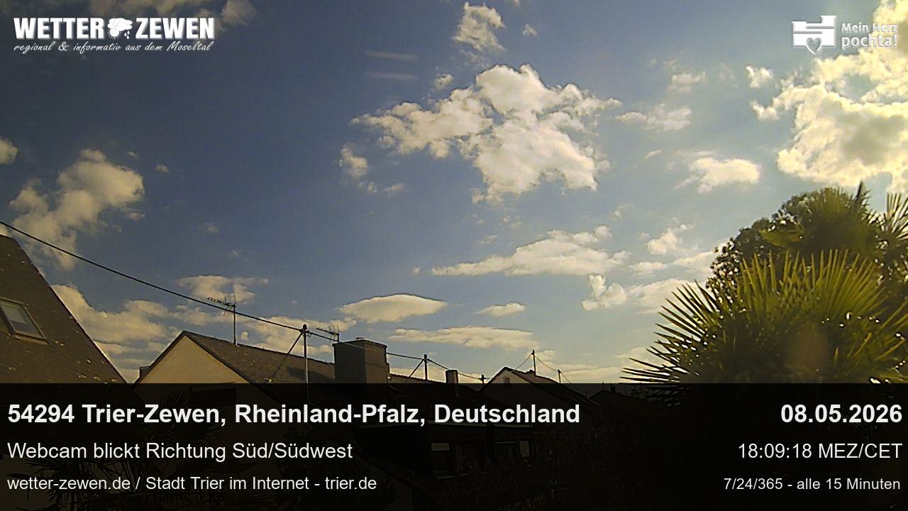 Bild