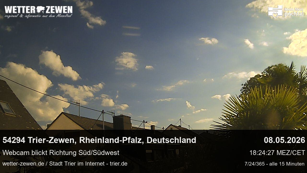 Bild