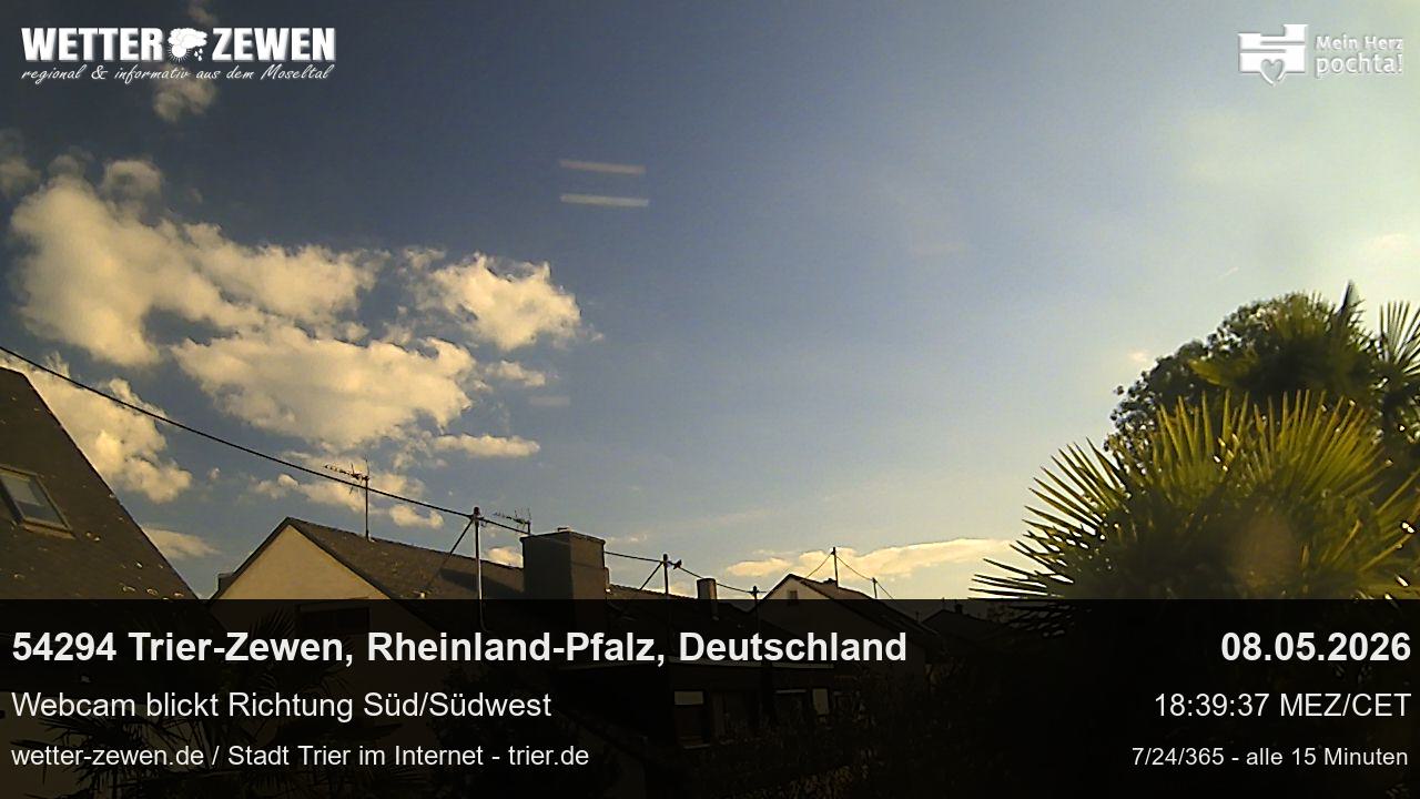 Bild