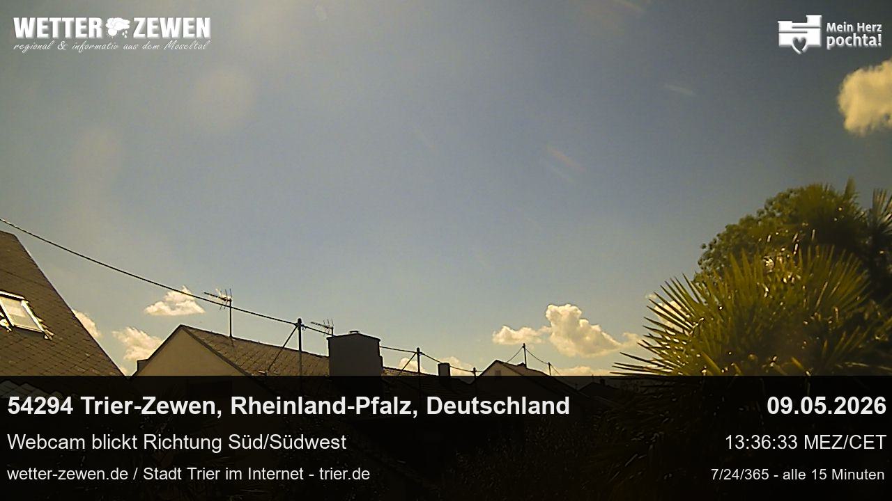 Bild