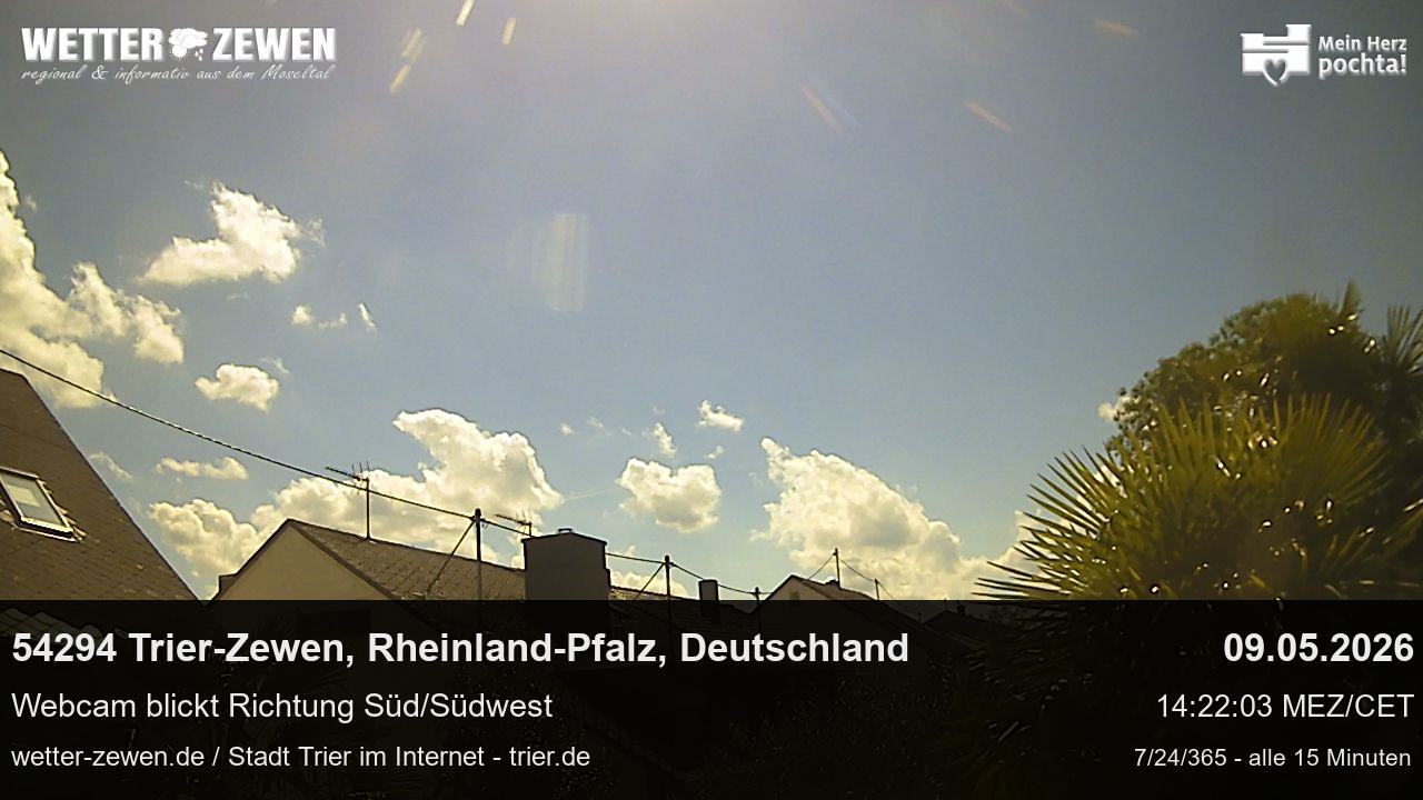 Bild