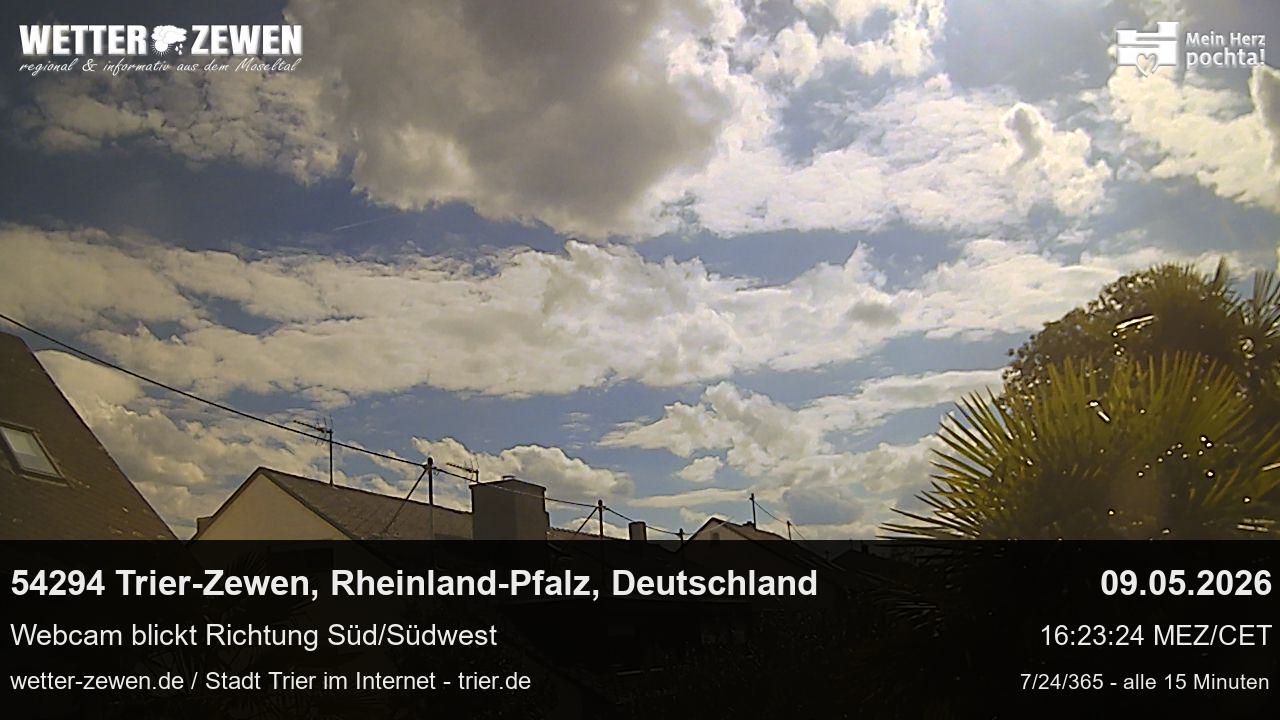 Bild
