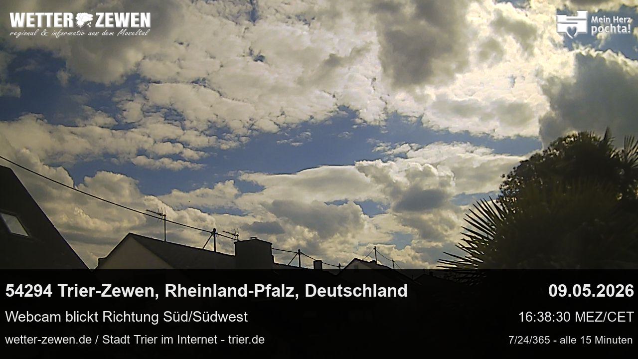 Bild