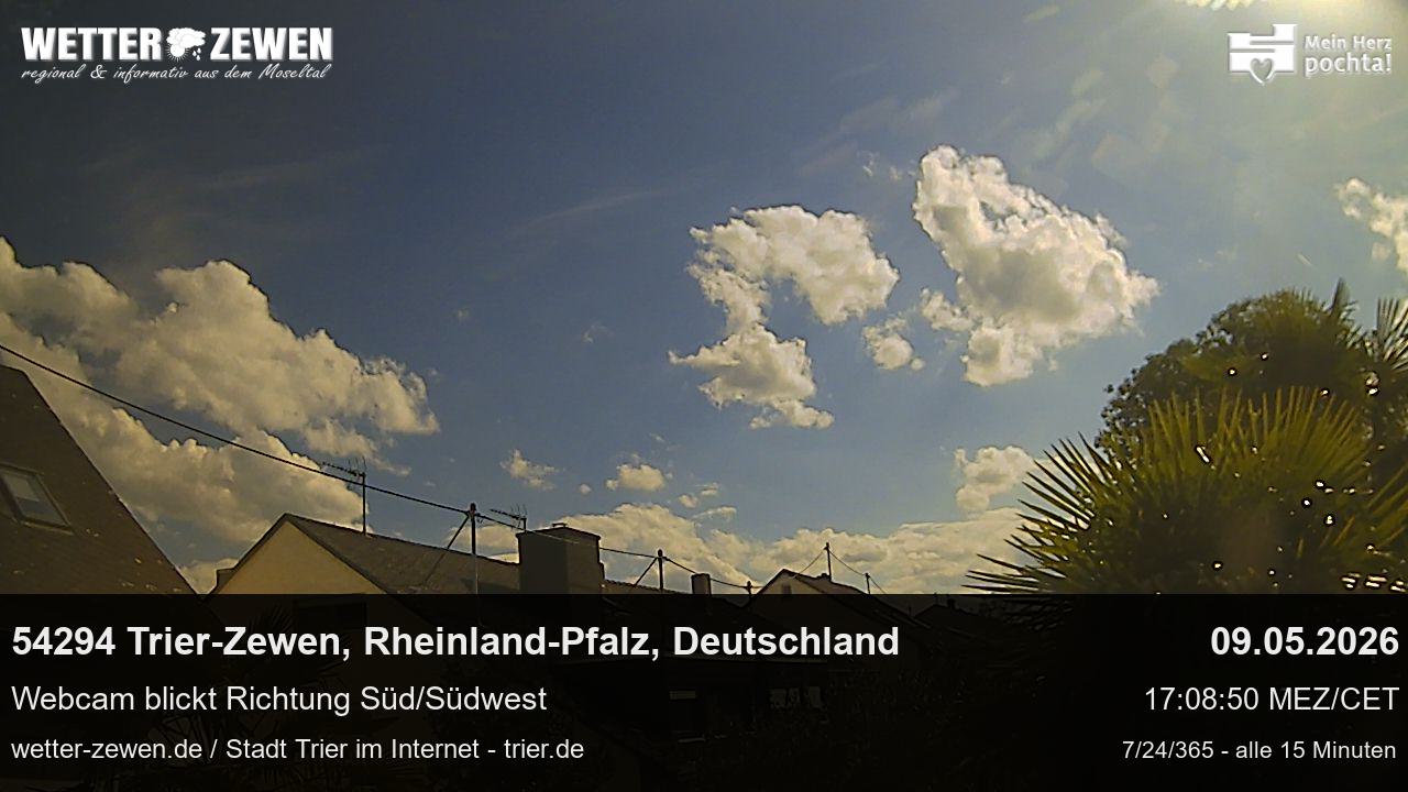 Bild