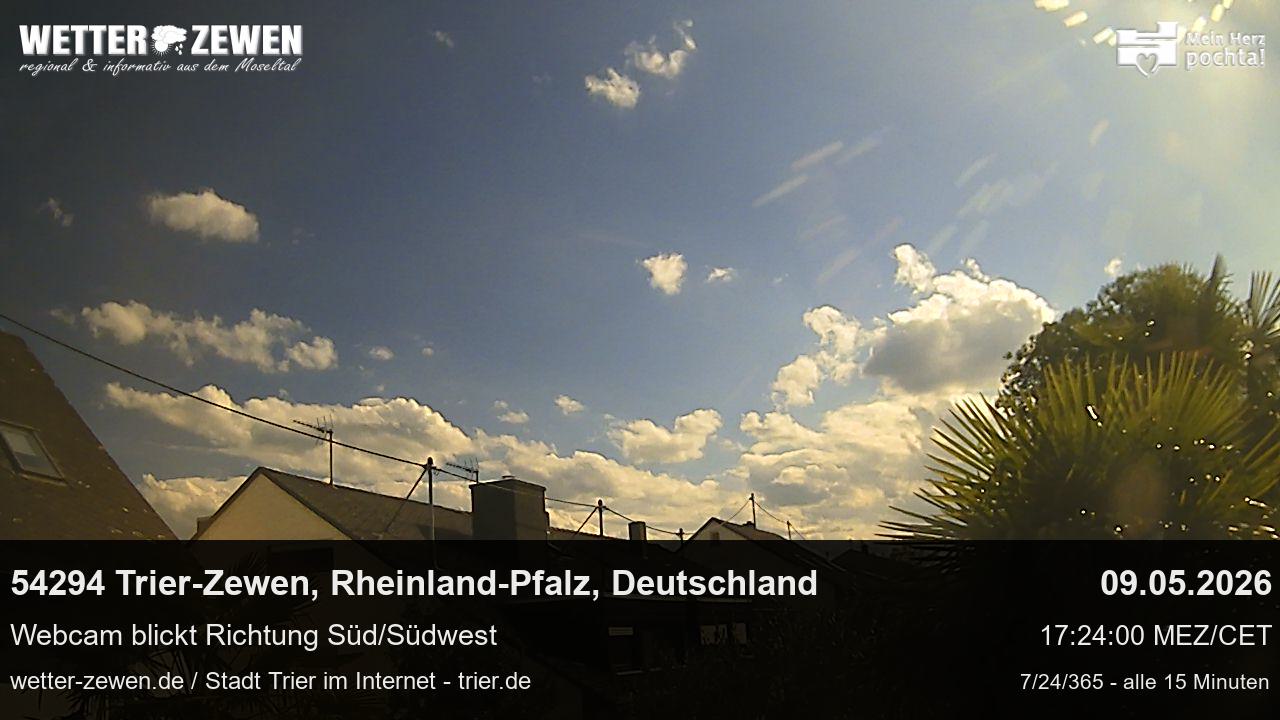 Bild