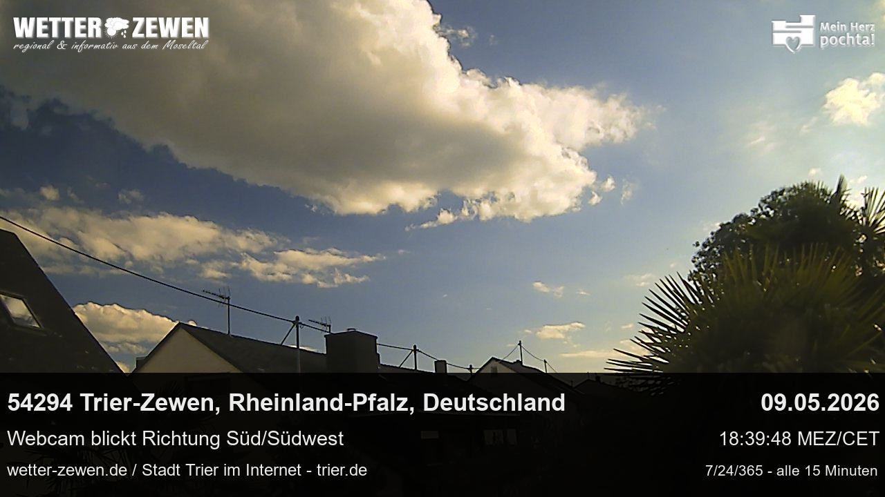 Bild