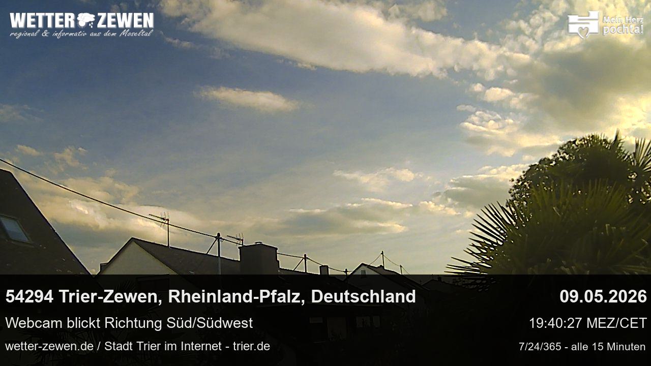 Bild