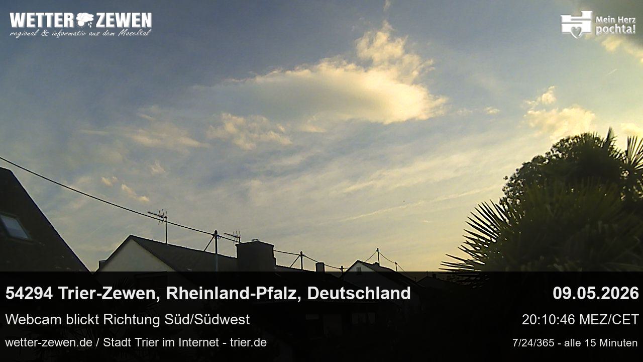 Bild